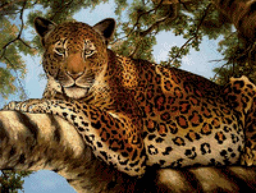 0203 - красота, кошка, картина, природа, животные, кошки, леопард - предпросмотр