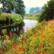 Схема вышивки «луг»