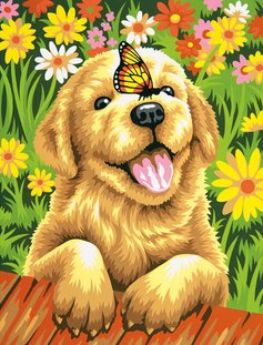 №816628 - оригинал