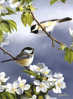 №816633 - оригинал