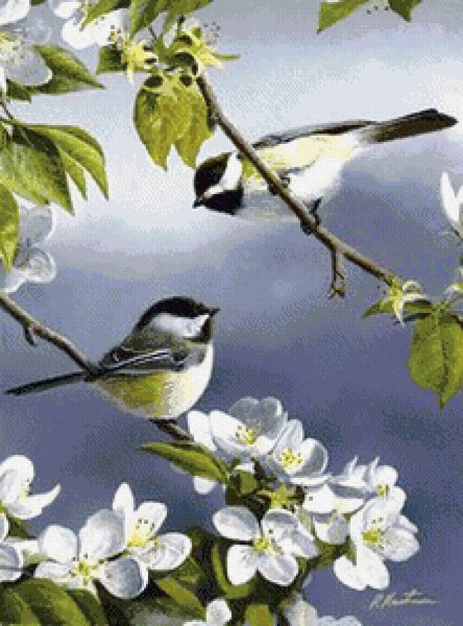 №816633 - предпросмотр