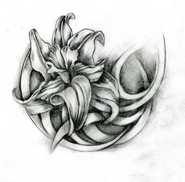 №816644 - цветы - оригинал