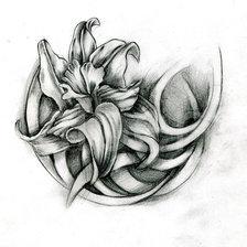 Схема вышивки «№816644»