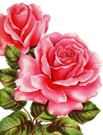 №816657 - оригинал