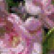 Предпросмотр схемы вышивки «цветы» (№816787)