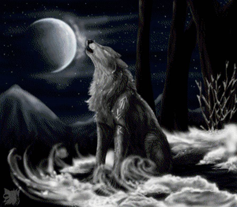 одинокий волк - волк, зима, монохром, луна, ночь, хищник - предпросмотр