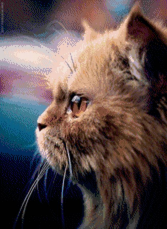 Коты - предпросмотр