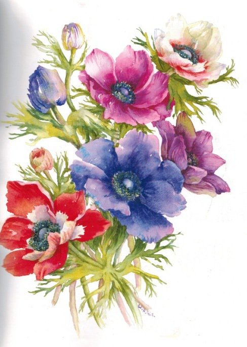 №816985 - оригинал