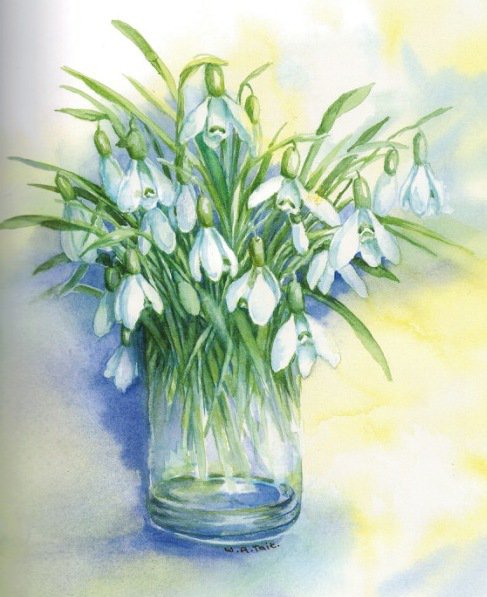 №816989 - оригинал