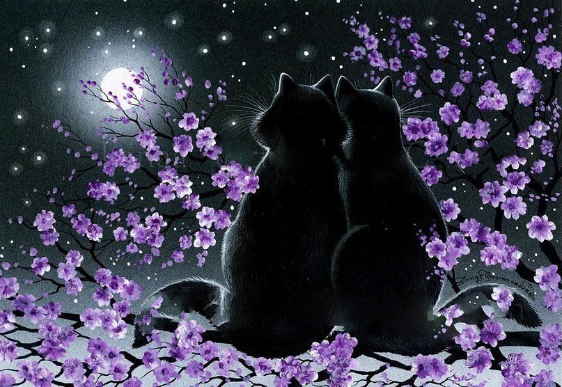кошки - кошки, луна, ночь - оригинал