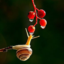 Схема вышивки «№817152»