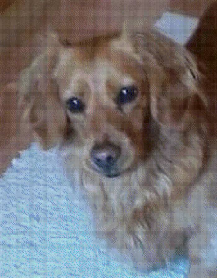 №817221 - предпросмотр