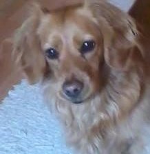 Схема вышивки «№817221»