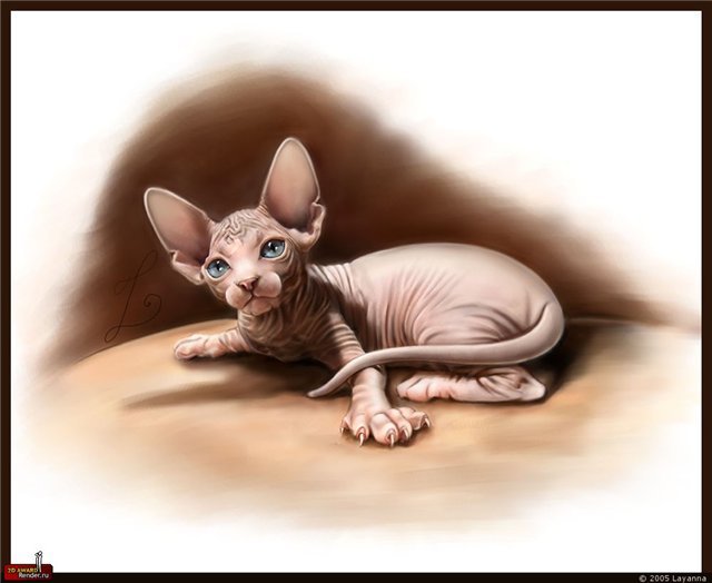сфинкс - сфинкс, котенок - оригинал