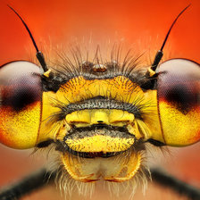 Схема вышивки «привет»