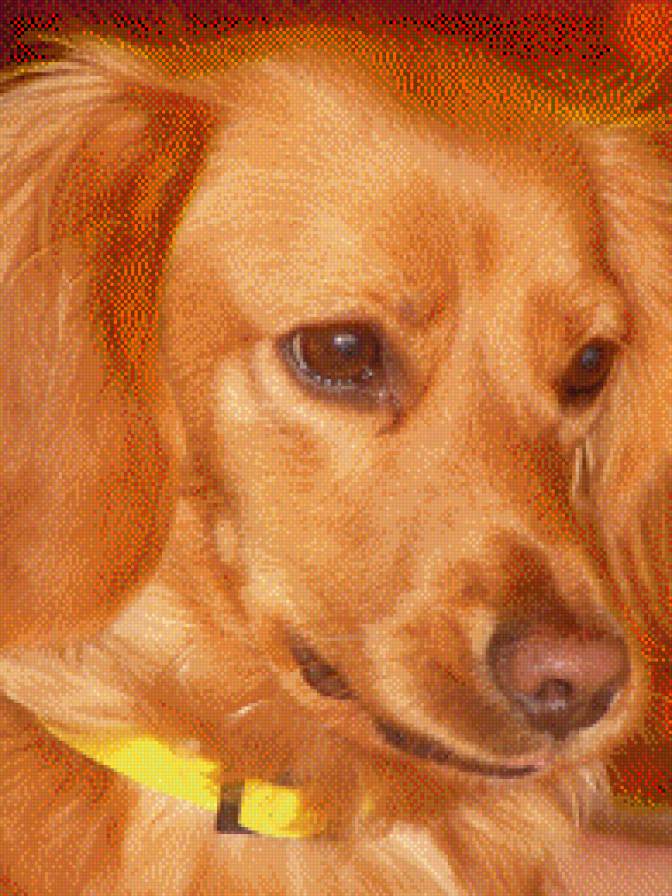 Sookie 4 - предпросмотр