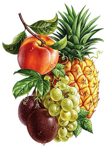 серия "фрукты" - фрукты.абрикосы.виноград.ананас - оригинал