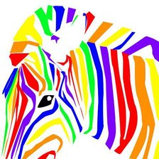 Схема вышивки «зебра-радуга»