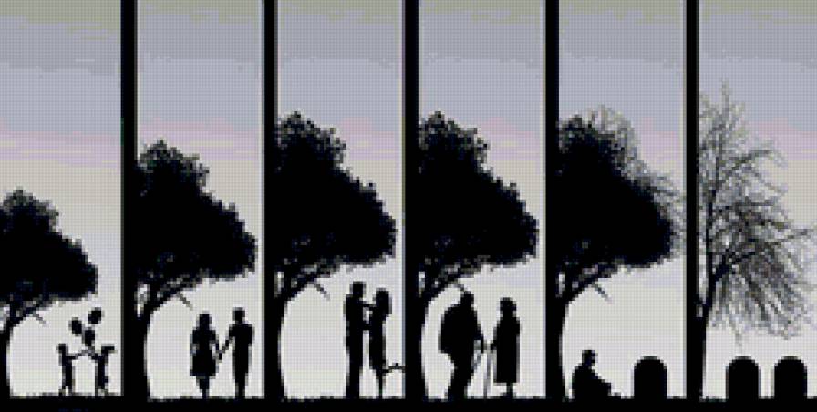 True love - предпросмотр