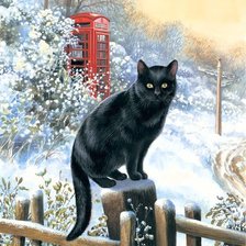 вышел на охоту