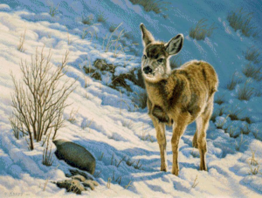 №818222 - предпросмотр