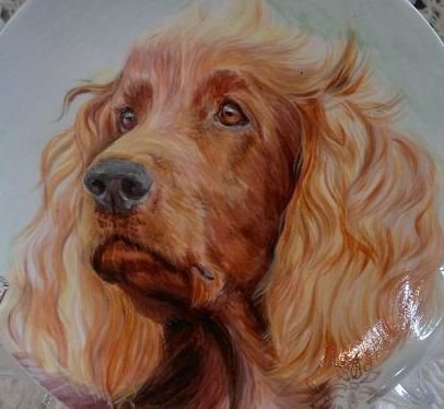 Джим - животные - оригинал