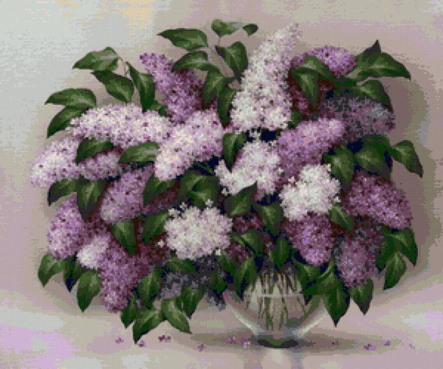 iasamani - предпросмотр