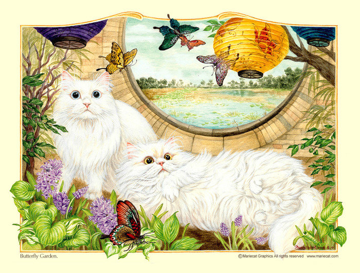 красавчики - коты, котики - оригинал