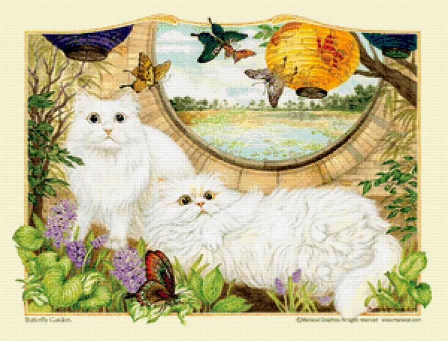 красавчики - коты, котики - предпросмотр