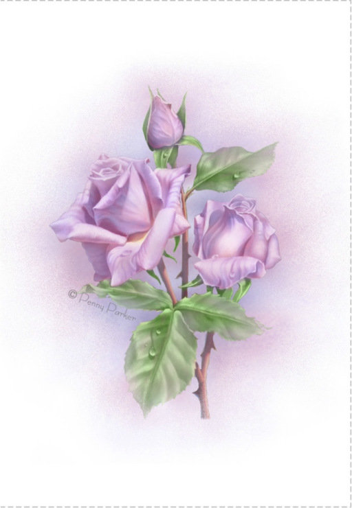 №818964 - оригинал