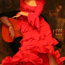Оригинал схемы вышивки «фламенко» (№819096)