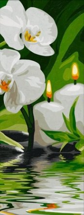 архидея - оригинал