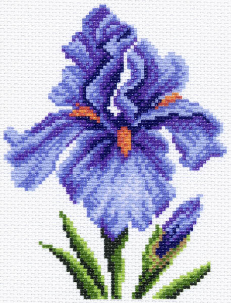 Ирис - оригинал