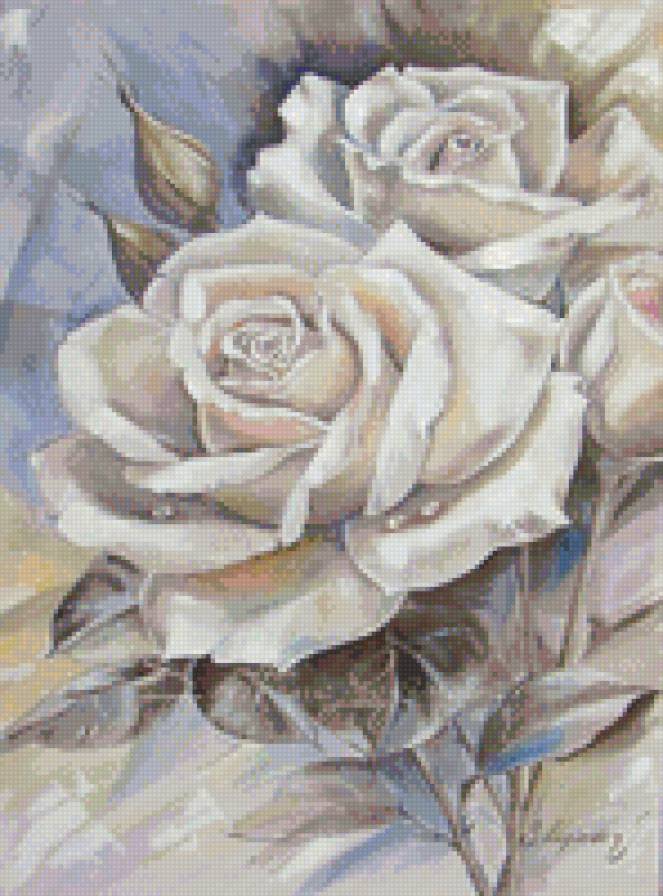 розы - розы, цветы - предпросмотр