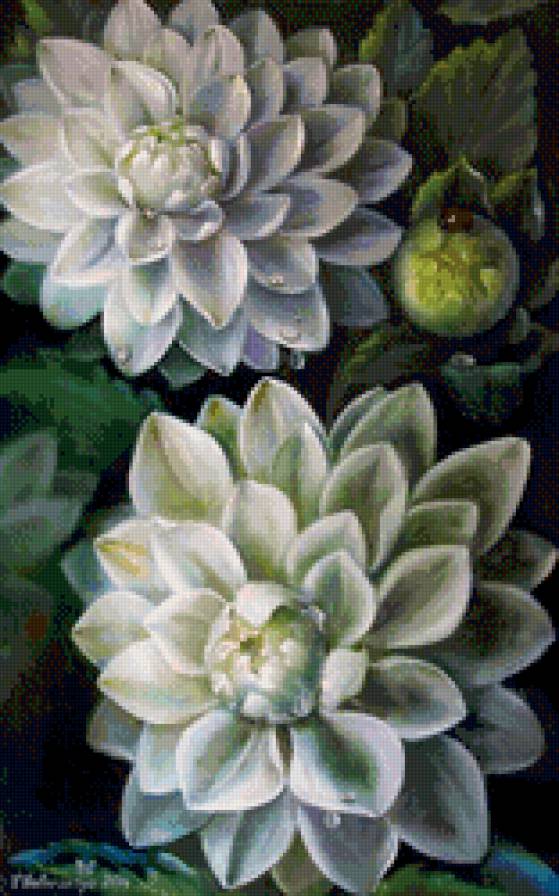 цветы - цветы - предпросмотр