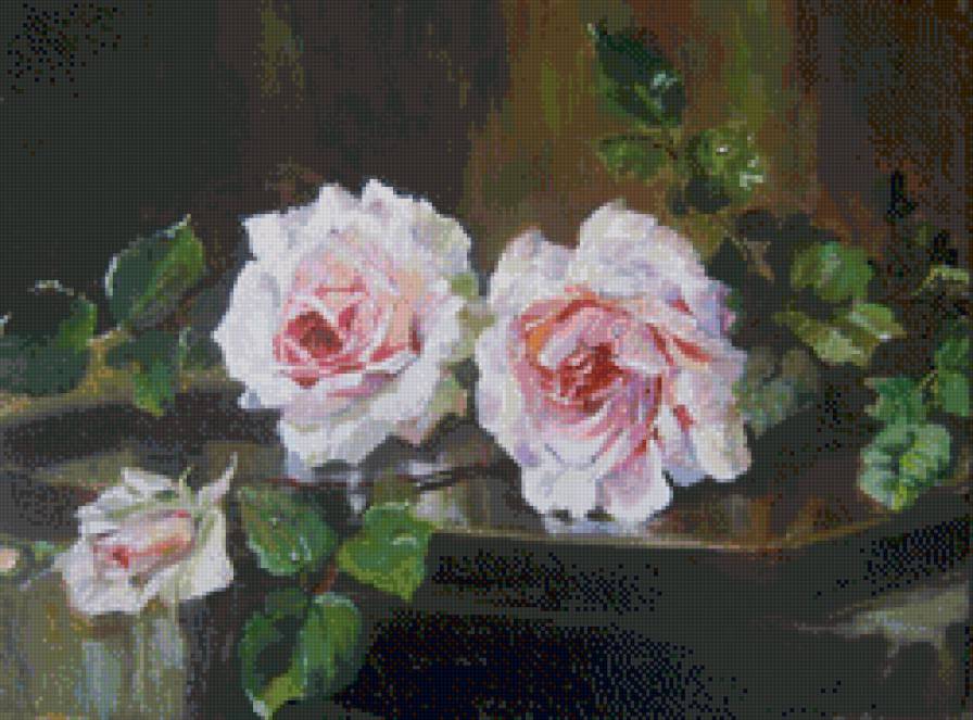 розы - розы, цветы - предпросмотр