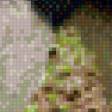Предпросмотр схемы вышивки «Муравьед» (№819435)
