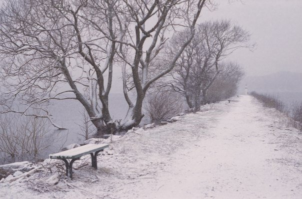 №819575 - пейзаж, зима, дорога - оригинал