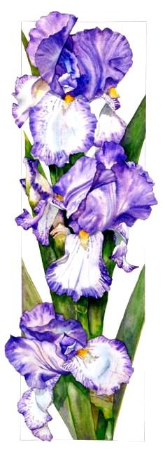 №819809 - оригинал