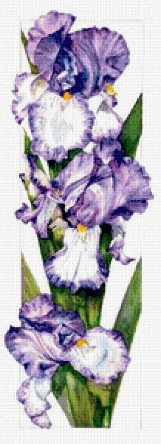 №819809 - предпросмотр