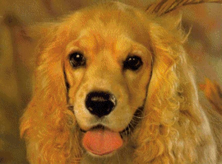 "Леди" - предпросмотр