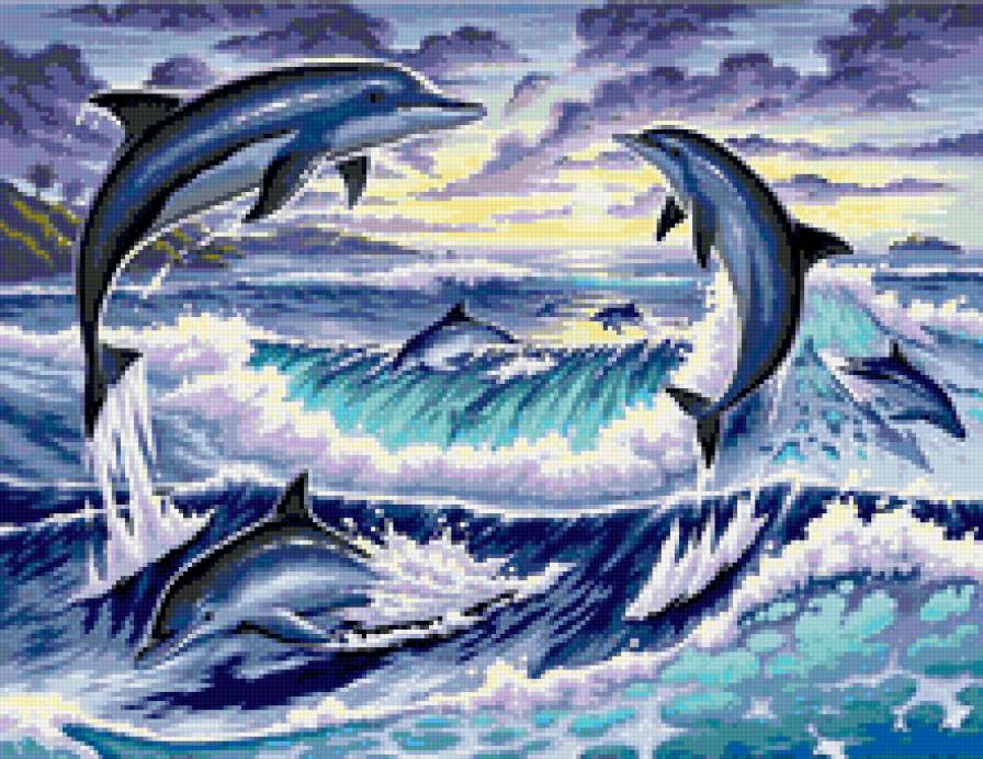 Дельфины - море - предпросмотр