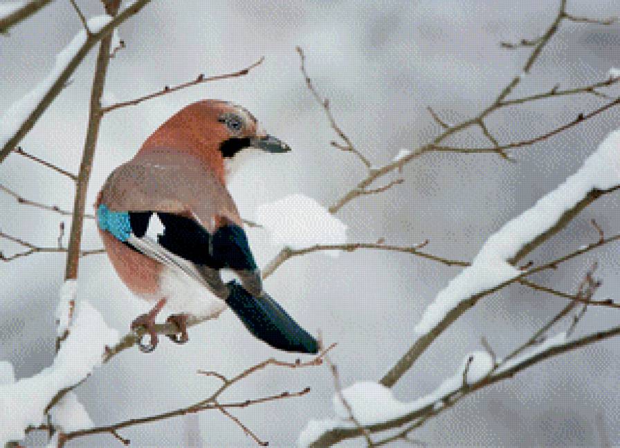 №820630 - предпросмотр