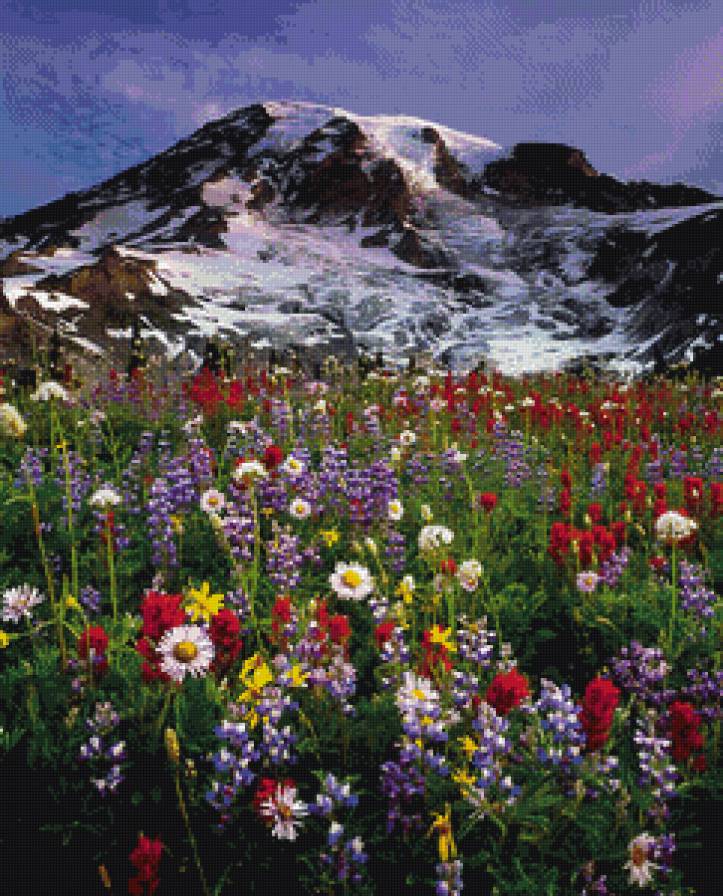 Альпийский луг - цветы, лето, пейзаж, луг - предпросмотр