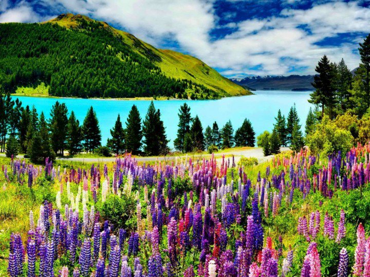 Цветущий луг - пейзаж, цветы, луг, лето - оригинал