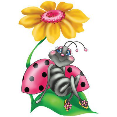 цокотуха - ромашка муха насекомое - оригинал