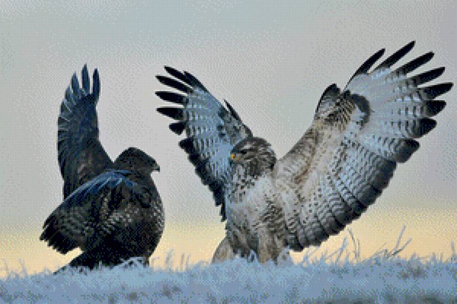 №820933 - предпросмотр