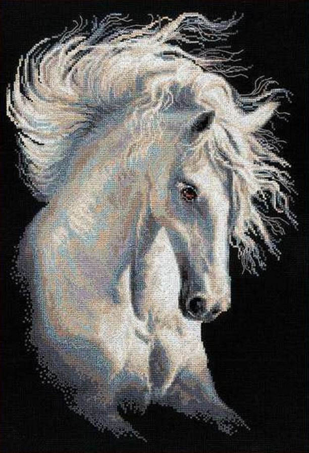 Андалузский характер - конь, грива, лошадь - оригинал