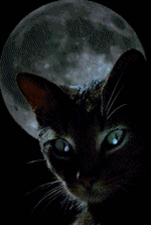 Кошка - кошка - предпросмотр