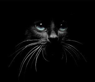 Кошка - кошка - оригинал